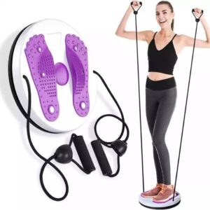 WAIST TWISTING DISC